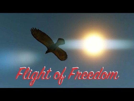 Flight of Freedom