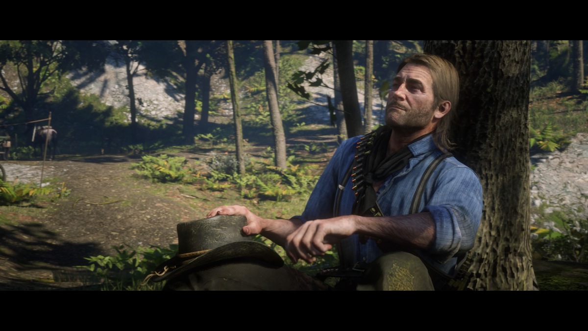 Red Dead Redemption 2_Storymodus_Screenshot (60)