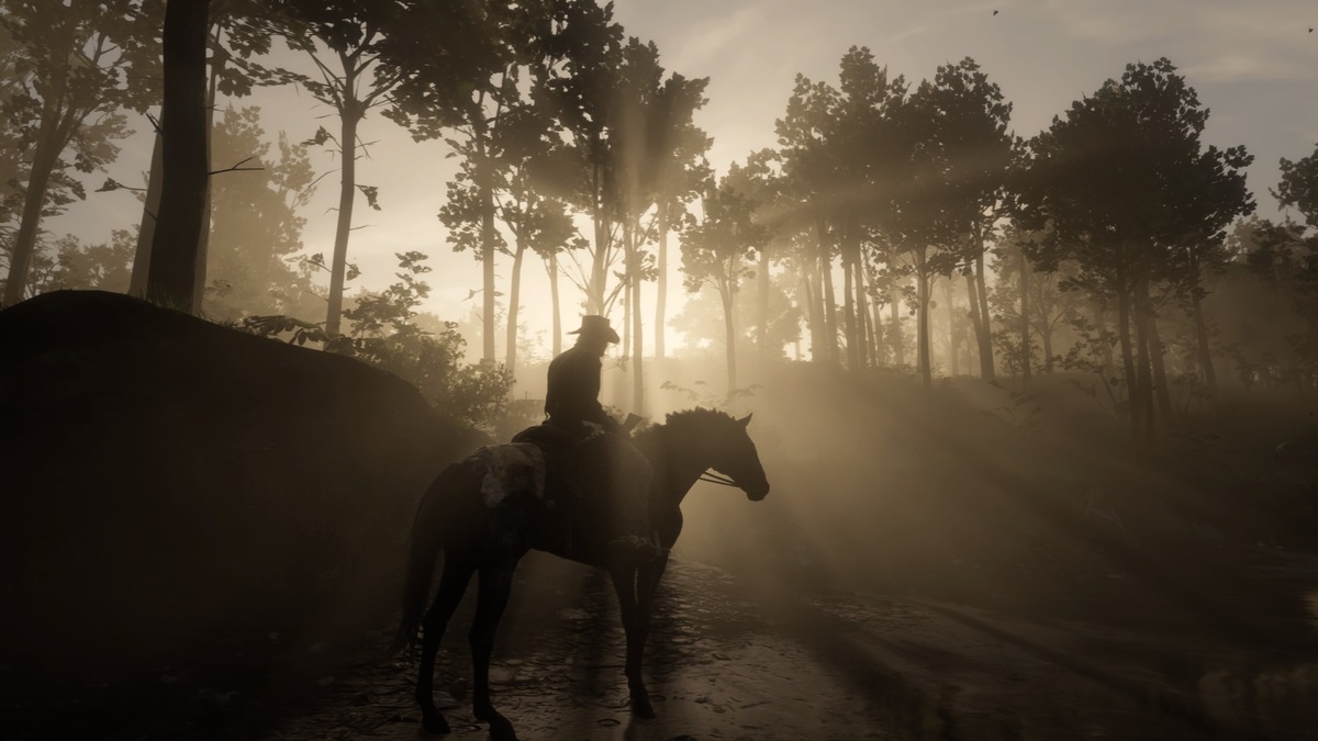 Red Dead Redemption 2_Storymodus_Screenshot (4)